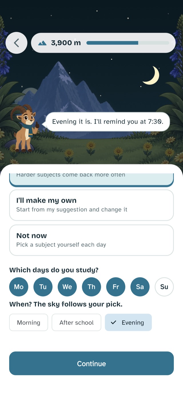The weekly study plan